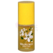 آلیسا اشلی وایلد فلاور